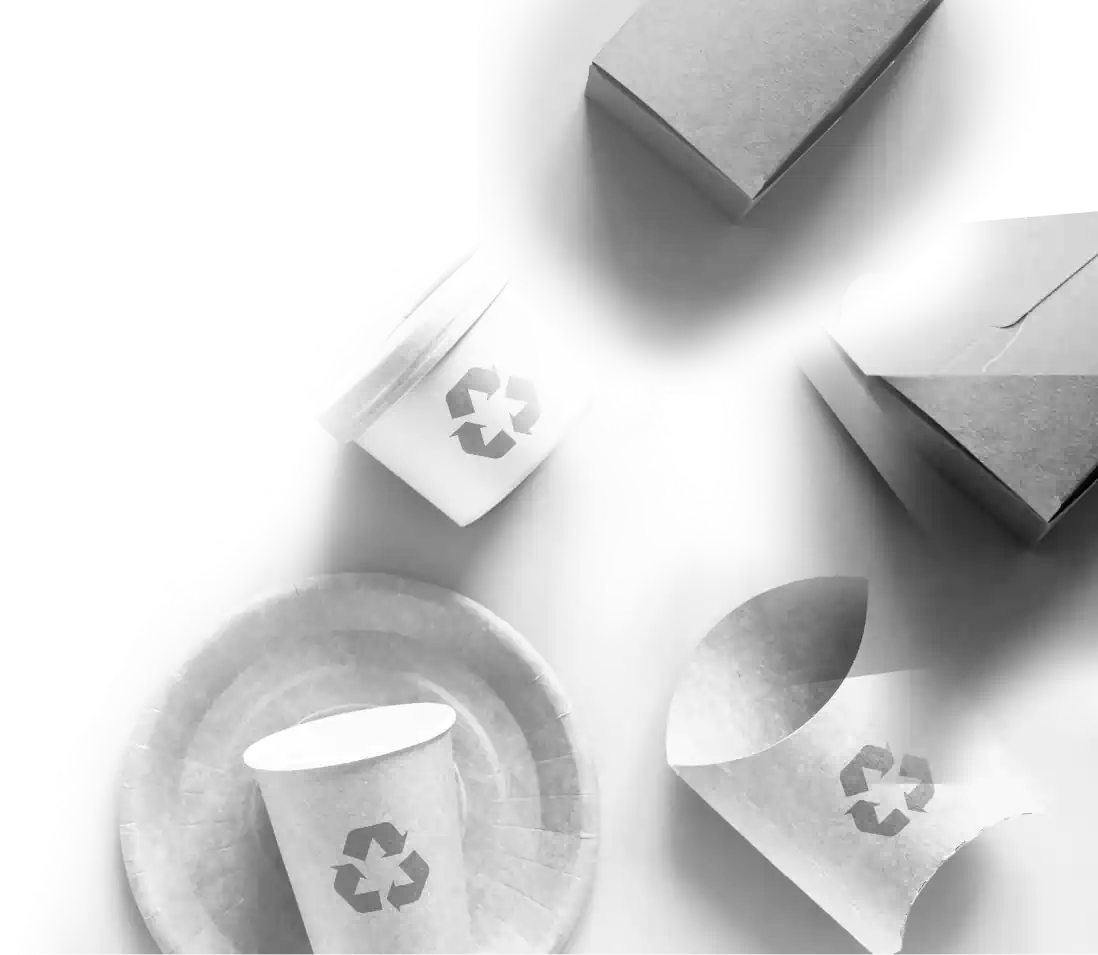 eco-friendly-packaging-shadow